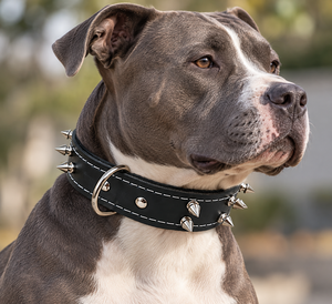 Colliers pour chiens en cuir faits à la main en gros de Divine International avec boucle réglable pour toutes les races de chiens - Product Image 5