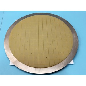 SPEEDFAM 2805-727003 BACKING, POLISH PAD ASSEMBLY - Equipo y piezas de semiconductores de confianza de la marca global Trusted Global Legacy - Product Image 1