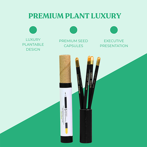 Black Gold Pencil Premium Quality Black Coloring Pencils with Gold <b>Seed</b> Capsules Bulk Supply for Best Price - Product Image 6