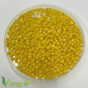 Vietgro-Acondicionador Granular de Suelo Amarillo, Producto Agrícola para ajustar el valor del pH y mejorar la estructura del suelo