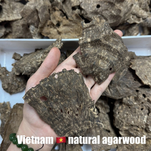 Offre Spéciale Vietnam – Copeaux d'encens d'agarwood (Aquilaria crassna) brun foncé, infectés par des insectes, à haute teneur en résine pour une fragrance naturelle - Product Image 2