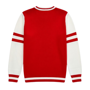 Maglione con Scollo a V Delta Sigma Theta per Donne, Vestibilità Comoda, Tessuto Premium, Abbigliamento Casual per Confraternite Greche - Product Image 5