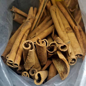 Écorce de cannelle indienne fraîchement récoltée, au parfum chaud et sucré, pour les acheteurs en gros, les grossistes en épices et le marché d'exportation international - Product Image 6