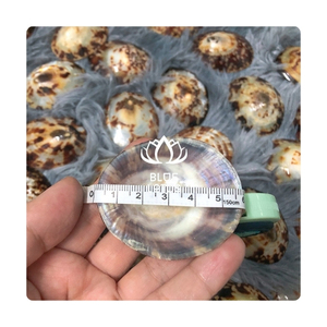 Coquille d'allaitement de haute qualité, finition lisse pour un confort apaisant et une collecte fiable du lait, France - Product Image 1