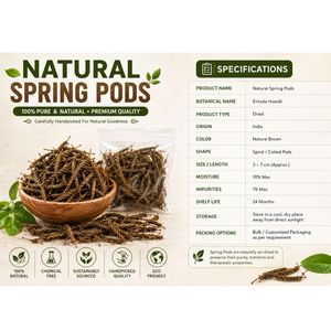 AQUA VRIKSHA Cápsulas de Agua Natural para Acuarios, Peceras de Betta, Peceras de Camarones y Acuapaisajismo |   Paquete de 500 - Product Image 4