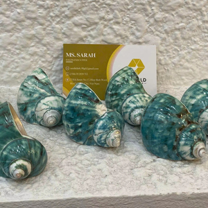 Anillo para Servilletas Hecho a Mano en Vietnam con Diseño de Caracol y Concha Marina, para Decoración de Mesa con Temática Oceánica en Hoteles y Banquetes - Product Image 1