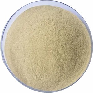 Extrait de Fruit du Moine de Haute Qualité, Meilleures Ventes, 20:1, 100% Pur et Naturel, Poudre de Moine Séchée Riche en Mogrosides, Prix de Gros - Product Image 3