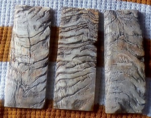 Sèche-tout de haute qualité en forme de corne, forme de mouton, lames de couteaux, boîte de couleur, M a artisanat indien, prise en charge, Logo personnalisé, 25 paires, à faire soi-même, 1 pièce - Product Image 6