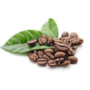เมล็ดกาแฟอาราบิก้า/เมล็ดกาแฟดิบ - Product Image 1