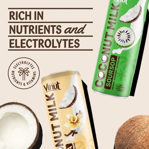 Leche de coco con guanábana 320ml (paquete de 24), a base de plantas, sin OGM, sin azúcar añadido, electrolitos esenciales, OEM ODM - Product Image 4