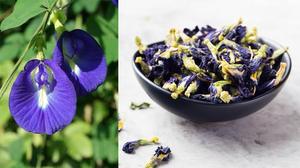 Dried Butterfly Pea Flower Loose Leaf Herbal <b>Tea</b> Organic <b>Slimming</b> Health Beverage 100% Natural EXPAD Vietnam Bulk Supply - Product Image 5