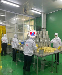 Maïs vapeur en conserve de haute qualité, trempé dans de la saumure, adapté aux repas pour bébés - Product Image 4