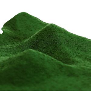 Barley Juice Powder Organic Grade Raw Material Halal - Product Image 1