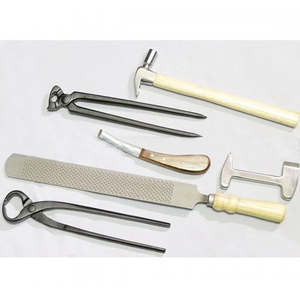 Juego de Instrumentos Veterinarios Equinos Profesionales de Acero Inoxidable, Kit de Herramientas para Herradores de Caballos, Cepillo para Pezuñas, Pinza para Zapatos, Lima y Escofina - Product Image 5