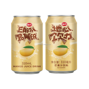 Boisson au jus de mangue VEDAN EARTH POWER - Product Image 3