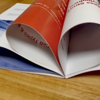 Brochures, catalogues de produits et livrets personnalisés à reliure agrafée.