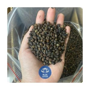 เมล็ดมะละกอคุณภาพสูง ราคาส่งถูก พริกแห้งสมุนไพรธรรมชาติ พรีเมียม โรงงานผลิต จำหน่ายจำนวนมาก สินค้าใหม่ - Product Image 1