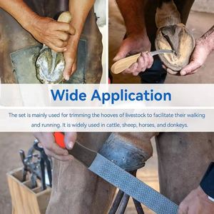 Instrumentos de Herrador de Acero Inoxidable de Grado Superior con Certificación CE Clase II, Incluye Alicates, Cortadores, Cuchillo y Lima para Pezuñas - Product Image 4
