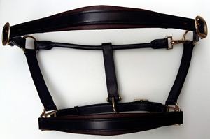 Licol en cuir anglais léger avec rembourrage en cuir souple de couleur contrastée, quincaillerie en laiton, design personnalisé - Product Image 4