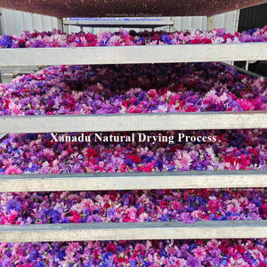 コーンフラワーズオーガニックミックス6色乾燥天然手作り<span class=keywords><strong>Centaurea</strong></span> <span class=keywords><strong>Cyanus</strong></span>装飾用/ベーカリー/ティーバス/キャンドルカスタムパック - Product Image 3