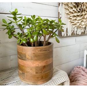 Plantes d'intérieur et décoration de balcon de jardin extérieur avec jardinière en bois rustique durable, pot à fleurs en bois de qualité supérieure - Product Image 4