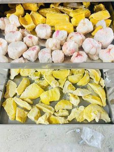 Bulk Supply Healthy Dried Pineapple Slices – No Sugar Added Export Quality - Product Image 6