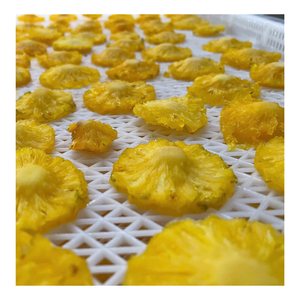 Delicious Dried Pineapple Snack Bulk Supply for Importers Looking for Premium Fruit Products - Product Image 1