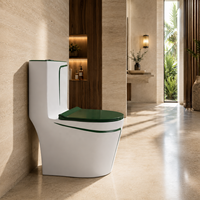 WC monobloc moderne et élégant en céramique blanc à rayures vertes, à chasse d'eau, pour salle de bain de villa, avec chasse double à fermeture douce