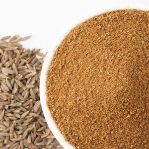 Premium Dhania-Pulver Getrockneter Rohkoriander Natürliches Gewürz Kochzutat Alltägliche Küchen-Kümmelgewürze Großhandel KAMADHEI - Product Image 4