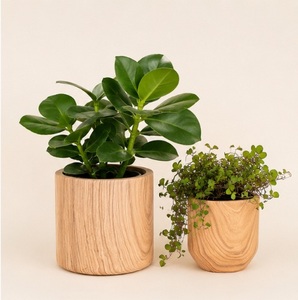 Macetas para Plantas de Interior con Textura de Madera Natural, Minimalistas y Decorativas, para Suculentas y Decoración del Hogar y la Oficina - Product Image 1
