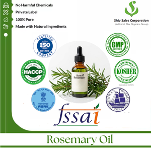 Premium Rosemary Oil Manufacturer and Bulk Supplier High Quality Essential Oil Cosmetics Personal Rosemary Oil Manufacturer - Product Image 4