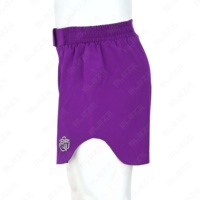 Shorts de course athlétiques Blaze Fight Wear pour hommes, style streetwear, taille élastique, séchage rapide, pour l'entraînement