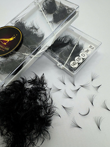 Extensions de cils 10D-20D, tiges étroites et pointues, bouquets lâches, noir mat, volume intense, cheveux synthétiques, cils faits à la main, vente en gros - Product Image 6