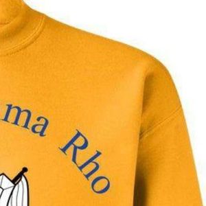 Sweat-shirt à col rond Sigma Gamma Rho, avec emblème coloré, personnalisé, imprimé pour sororité grecque, en polaire, style streetwear décontracté - Product Image 6