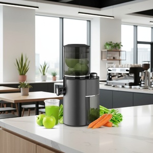 Sudex Masticating Machines Big Mouth Juicer Extractor 350W Cold <b>Press</b> Slow Juicer for Fruits Vegetables Commercial <b>Orange</b> Juice - Product Image 2