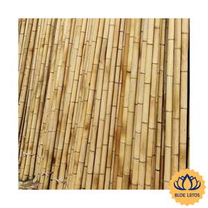 [DISPONIBLE] |   Postes de Bambú Resistentes al por Mayor para Construcción, Cercas y Soporte Creativo de Blue Lotus Farm - Product Image 1
