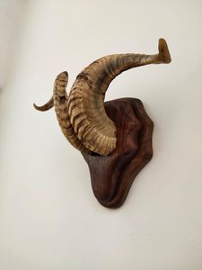 Paire de cornes de berbecue avec base en bois, artisanat naturel, décoration murale en forme d'animal, cornes de mouton rustiques décoratives pour la maison. - Product Image 2