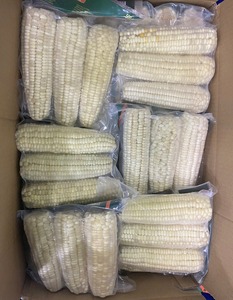 Maíz Dulce Congelado IQF, Maíz Dulce Entero Congelado IQF, Maíz Cocido - Product Image 3