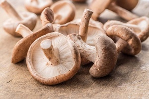 Hongos Shiitake Secos y Blanqueados Silvestres VIETDELTA Premium, Naturales, Saludables y Comestibles, 1 kg, Venta al por Mayor, Proveedor OEM ODM, 2 Años de Duración - Product Image 5