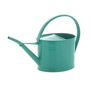 Arrosoir en métal robuste, outil d'arrosage durable pour plantes - Product Image 3