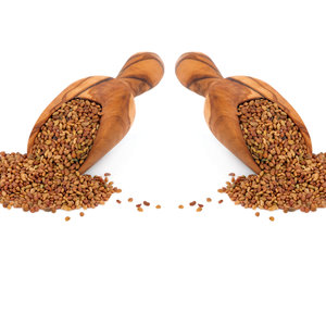 Semillas de Alfalfa Medicago Sativa Pureza 99% Mín. Marca Internacional Kohenoor 12 Meses de Vida Útil Alimento para Animales Empaque PE HACCP - Product Image 5