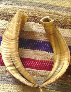 Décorations en corne de bélier, corne de bélier naturelle, corne de bélier faite à la main, artisanat écologique 100% naturel, arts en corne de bélier - Product Image 3
