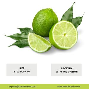 Qualité supérieure pour le citron vert frais, citron vert à 90 % de maturité, excellente qualité, fabriqué au Vietnam - Product Image 2