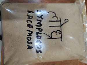 Polvo Vegano para el Crecimiento del Cabello, Más Vendido, con Amla, Ashwagandha, Brahmi e Hibisco, para Cabello Graso, Reduce la Caída y Previene las Canas - Product Image 5