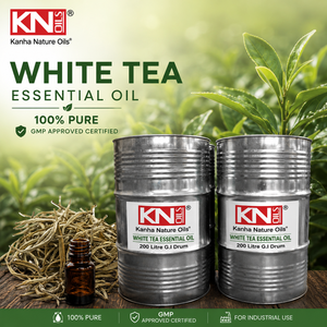 น้ำมันหอมระเหยชาขาวพรีเมียม คาเมลเลีย ไซเนนซิส บริสุทธิ์ 100% ออร์แกนิค รับรองมาตรฐาน จำหน่ายส่งออกและขายส่งทั่วโลก - Product Image 3