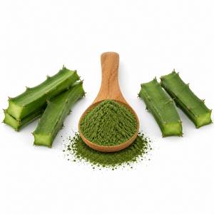 Fabricant professionnel d'extraits végétaux, poudre d'extrait de Cissus Quadrangularis, ingrédient premium pour les compléments alimentaires pour la santé des os, OEM - Product Image 5