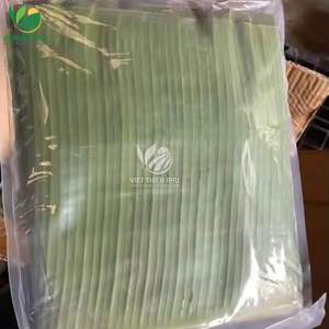 เวียตเธียนฟู่ |   ใบตองแช่แข็งแบบทั้งใบ ตัดสะอาด นำเข้าจากเวียดนาม - Product Image 6