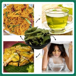 Dried Kaffir <b>Lime</b> Leaves with Rich Aroma for Curry Soup and Seafood Seasoning Applications - Product Image 5