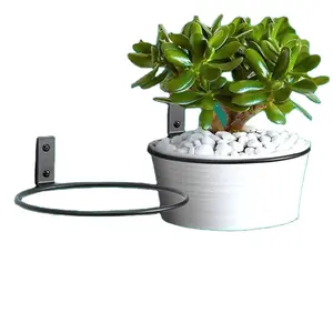 Металлическая настенная вешалка для растений, подставка для комнатных растений, настенный подвесной держатель для растений