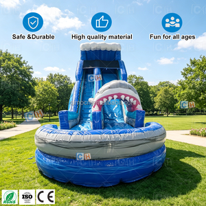 Scivolo d'Acqua Gonfiabile Commerciale a Tema Squalo con Doppia Corsia e Piscina <span class=keywords><strong>per</strong></span> Parchi Acquatici e Feste Estive in Giardino - Product Image 5